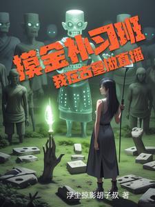 摸金补习班，我在古墓做直播